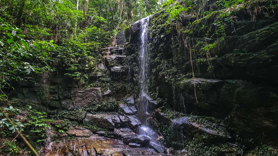 Rio de Janeiro: Tijuca Forest Waterfall of Souls Hike - Key points to know before booking