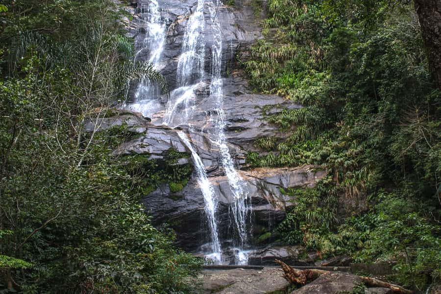 Rio de Janeiro: Tijuca Forest Waterfall of Souls Hike - What this Tijuca Forest outing is really about