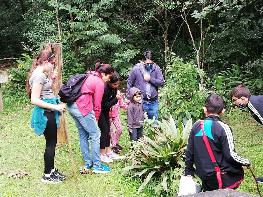 Rio de Janeiro: Tijuca Forest Waterfall of Souls Hike - A cleansing stop before the waterfall