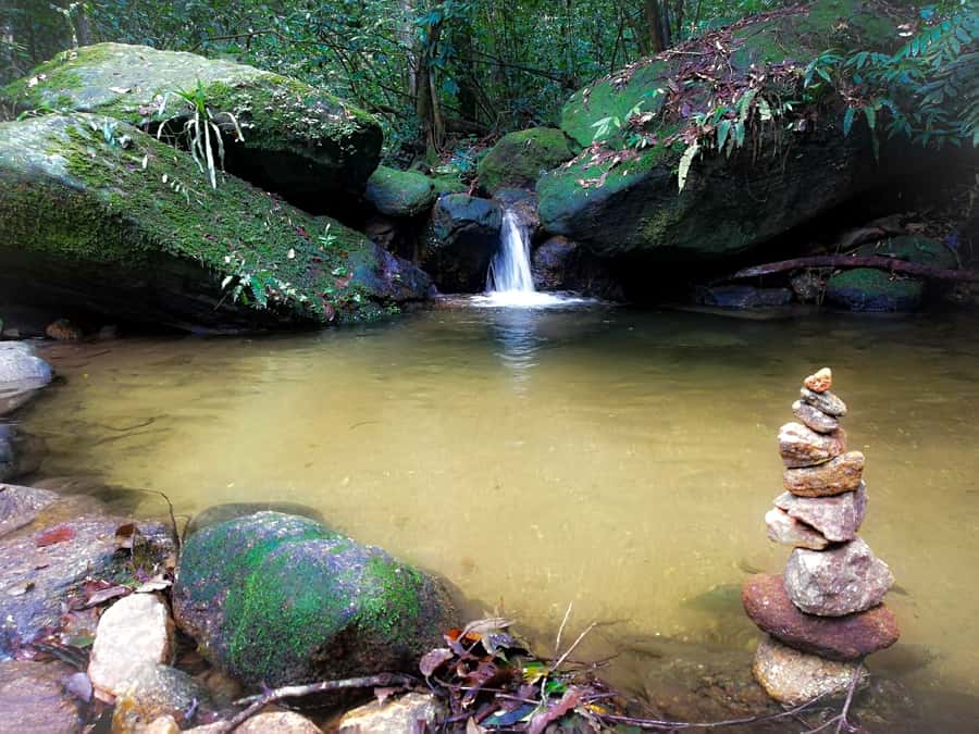Rio de Janeiro: Tijuca Forest Waterfall of Souls Hike - Kelly’s role in making the walk work