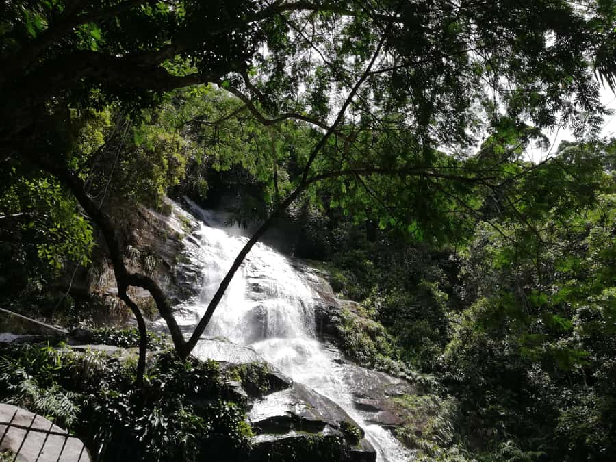 Rio de Janeiro: Tijuca Forest Waterfall of Souls Hike - How the price measures up at $60