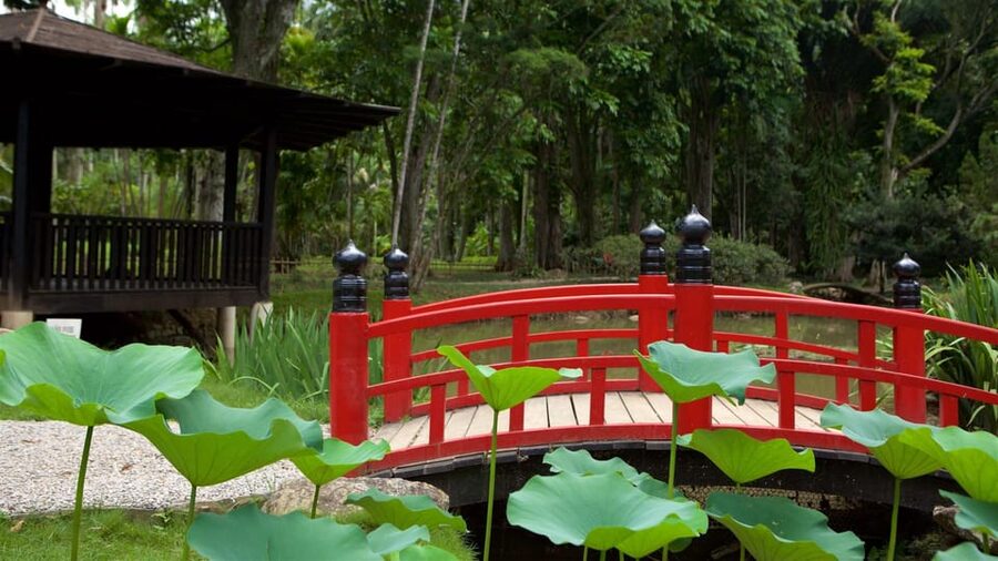 Rio de Janeiro: Tijuca National Park & Botanic Garden Tour - Who should book this Rio nature tour?