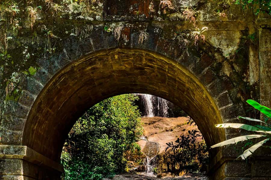 Rio de Janeiro: Tijuca National Park & Botanic Garden Tour - Is $65 good value?