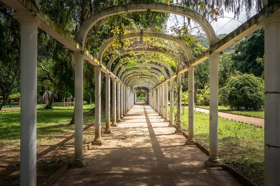 Rio de Janeiro: Tijuca National Park & Botanic Garden Tour - Taunay Waterfall brings the forest to life