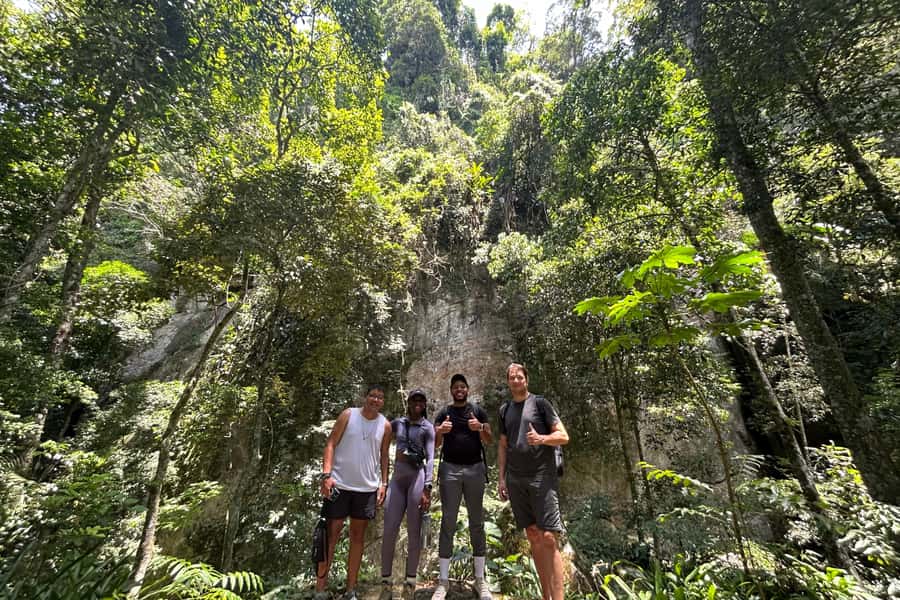 Rio de Janeiro: Tijuca National Park Tour - Timing, transport, and the real length of the outing