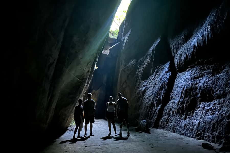 Rio de Janeiro: Tijuca National Park Tour - What you might see along the trail
