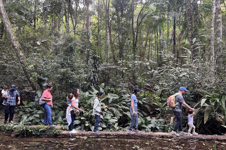 Rio de Janeiro: Tijuca National Park Tour - What to bring for a comfortable morning