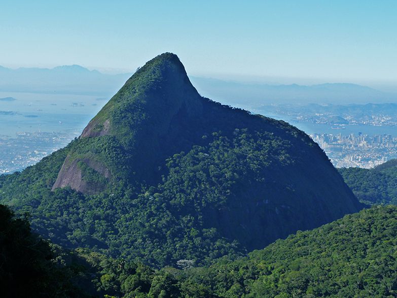 Rio de Janeiro: Tijuca Peak Guided Hike - Key points to know before you book