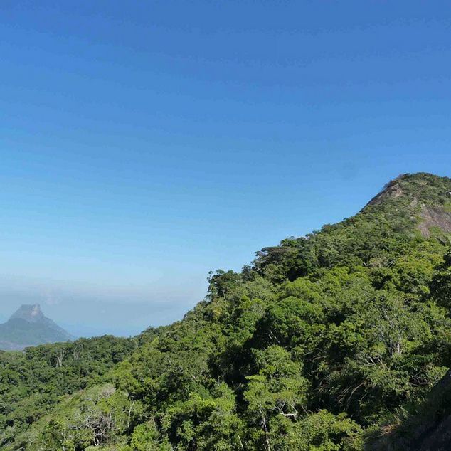 Rio de Janeiro: Tijuca Peak Guided Hike - Cachoeira das Almas, a welcome forest stop
