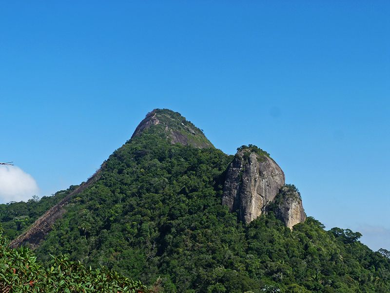 Rio de Janeiro: Tijuca Peak Guided Hike - Tijuca Mirim and the first big city view