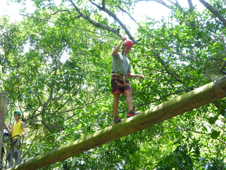 Rio de Janeiro: Zip Lining and Canopy Tree Tour - Key points to know before booking
