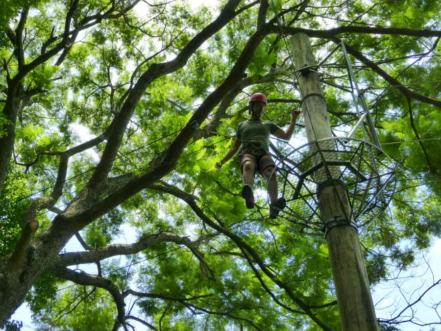 Rio de Janeiro: Zip Lining and Canopy Tree Tour - Who will get the most from this outing