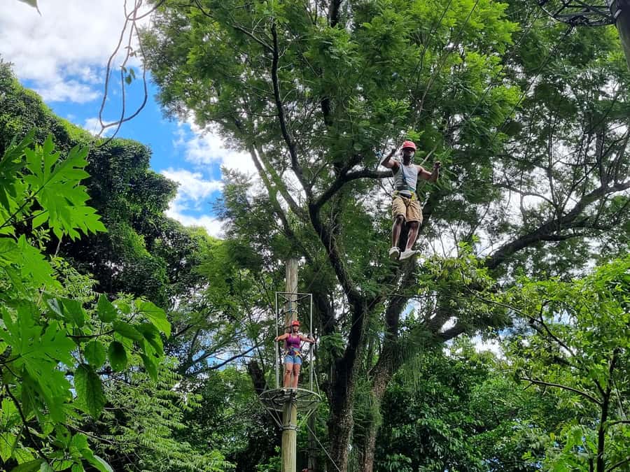Rio de Janeiro: Zip Lining and Canopy Tree Tour - One easy hike, two rewarding viewpoints