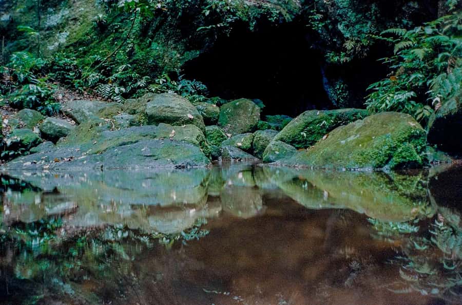 Rio: Half-Day Jeep Tour at Floresta da Tijuca - Why Tijuca Forest Works as a Half-Day Trip