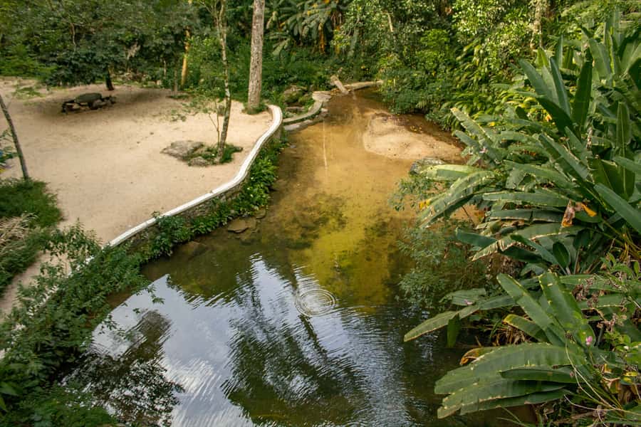 Rio: Half-Day Jeep Tour at Floresta da Tijuca - Sun, Rain, Insects, and Clothing