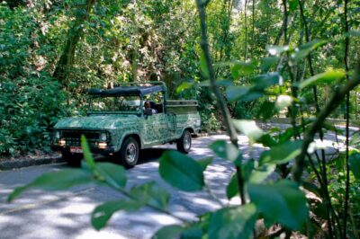 Half-Day Jeep Tour at Floresta da Tijuca