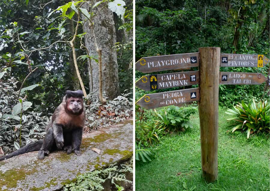 Rio: Half-Day Jeep Tour at Floresta da Tijuca - Cascatinha Taunay and a Refreshing Water Stop