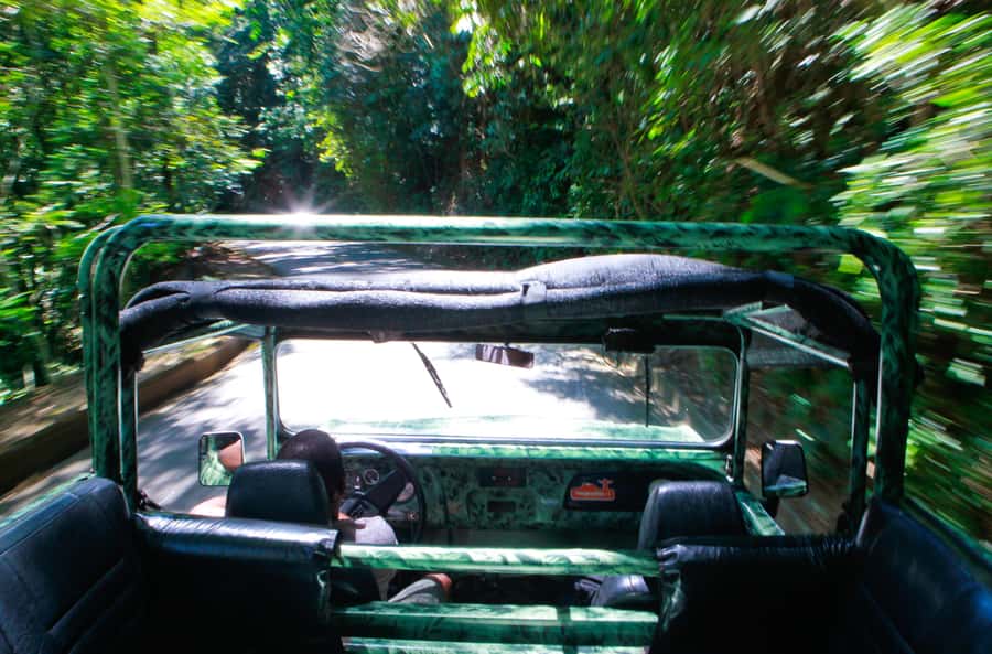 Rio: Half-Day Jeep Tour at Floresta da Tijuca - Two Short Trails Through Atlantic Forest