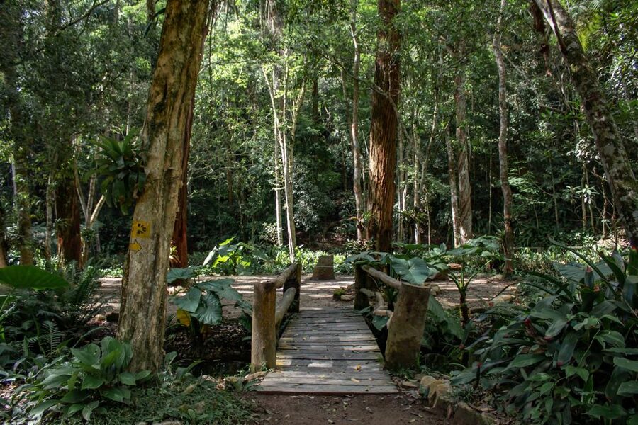 Rio: Half-Day Jeep Tour at Floresta da Tijuca - São Conrado Beach and Hand-Gliders
