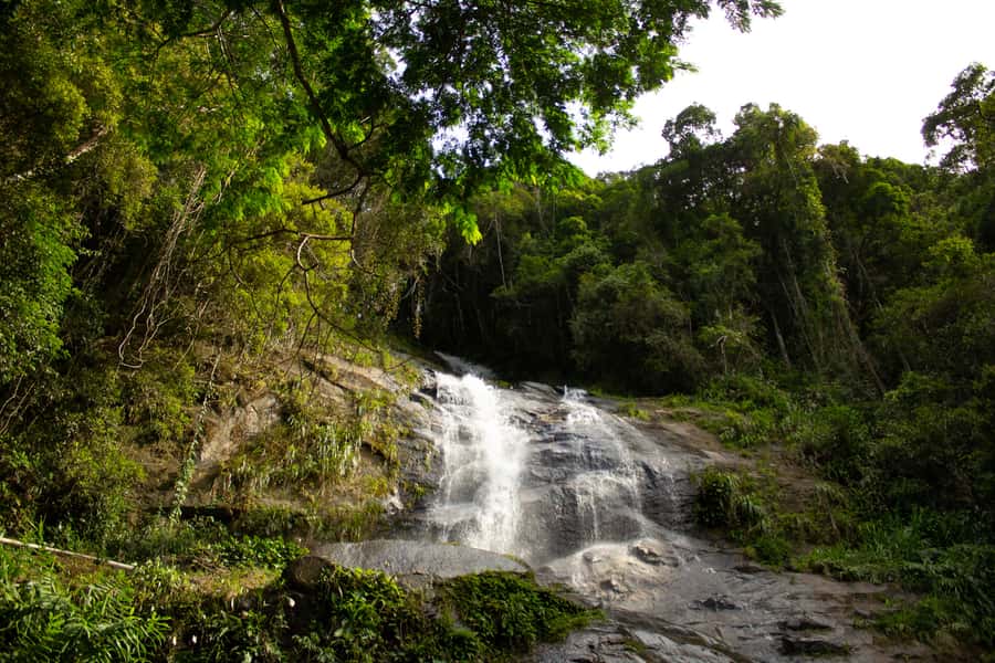 Rio: Half-Day Jeep Tour at Floresta da Tijuca - What the $60 Price Really Buys You
