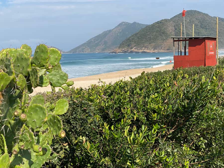 Rio: Pedra do Telégrafo Hiking & Relax in a Wild Beach - Who will enjoy this six-hour outing