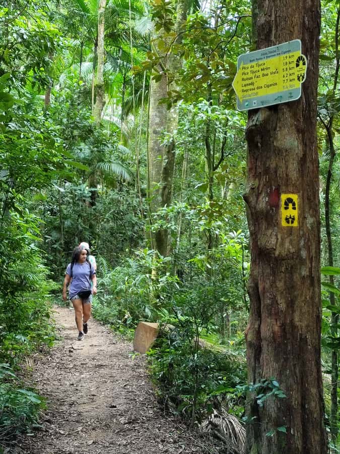 Rio: Private Tour 5 Hours Customized Tour With a Local Guide - The guides make the difference