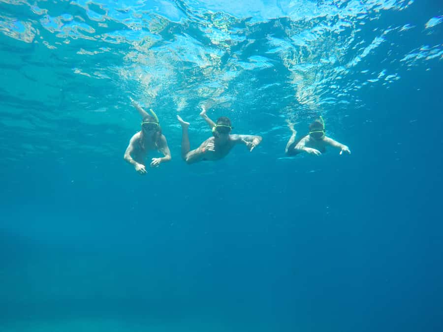 Rio: Snorkel & Swim with Turtles Tour at Tijuca Islands - Why the Tijuca Islands make a good morning escape