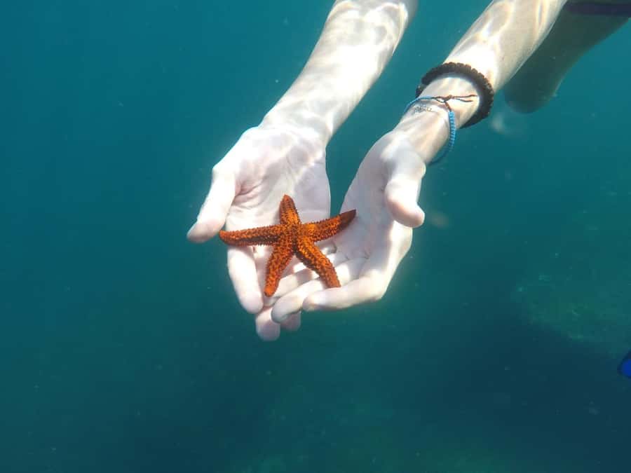 Rio: Snorkel & Swim with Turtles Tour at Tijuca Islands - What to bring for a comfortable morning