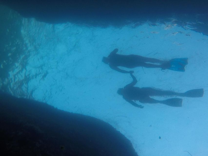 Rio: Snorkel & Swim with Turtles Tour at Tijuca Islands - The 30-minute island break and possible walk