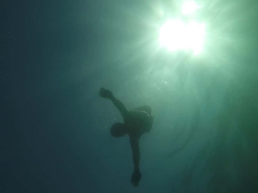 Rio: Snorkel & Swim with Turtles Tour at Tijuca Islands - What $100 includes and whether it feels fair