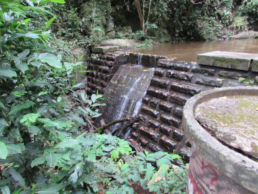 Rio: Tijuca Forest & Horto Waterfalls Circuit Tour - What this Tijuca Forest tour is really like