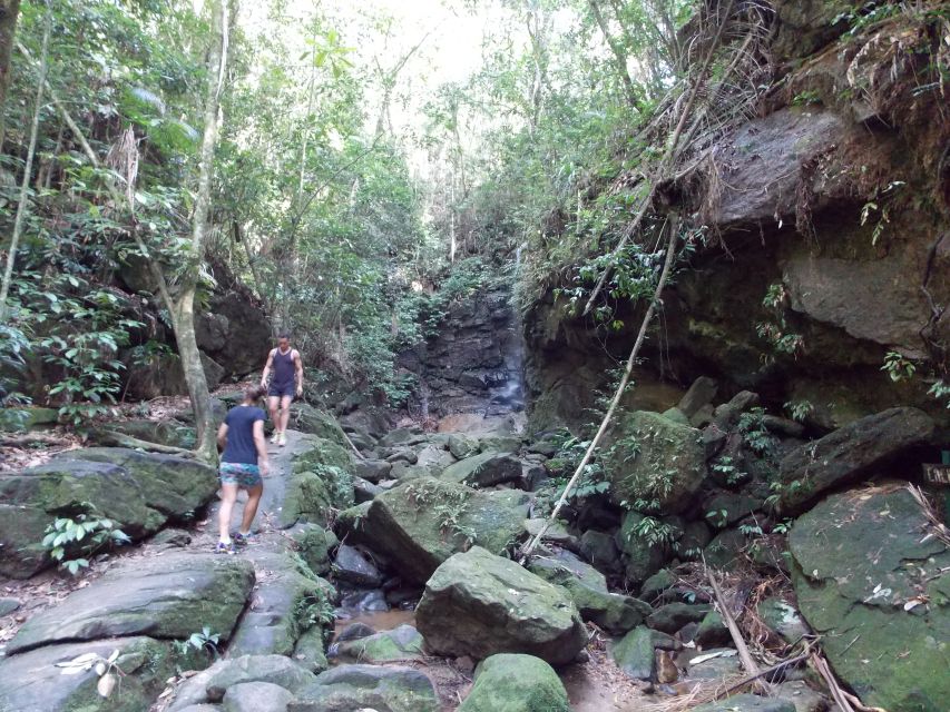 Rio: Tijuca Forest & Horto Waterfalls Circuit Tour - The Horto Waterfall Trail and its natural obstacles