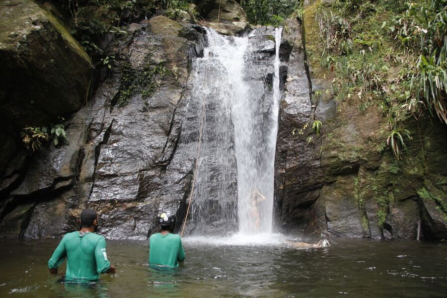 Rio: Tijuca Forest & Horto Waterfalls Circuit Tour - The Secret Waterfall Circuit and Cachoeira do Chuveiro
