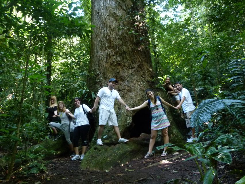 Rio: Tijuca Forest & Horto Waterfalls Circuit Tour - The guides are a major part of the value