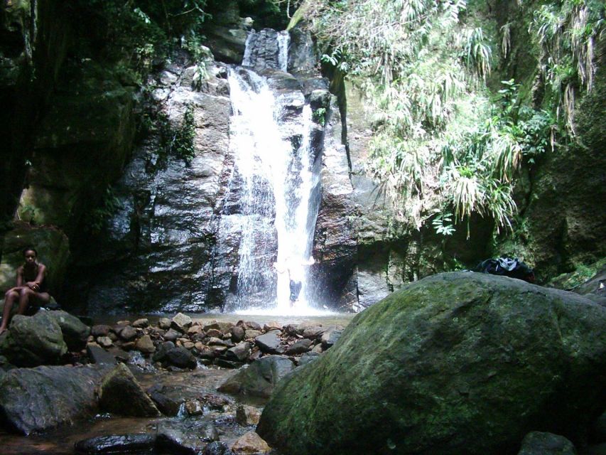 Rio: Tijuca Forest & Horto Waterfalls Circuit Tour - Is $56 a fair price?