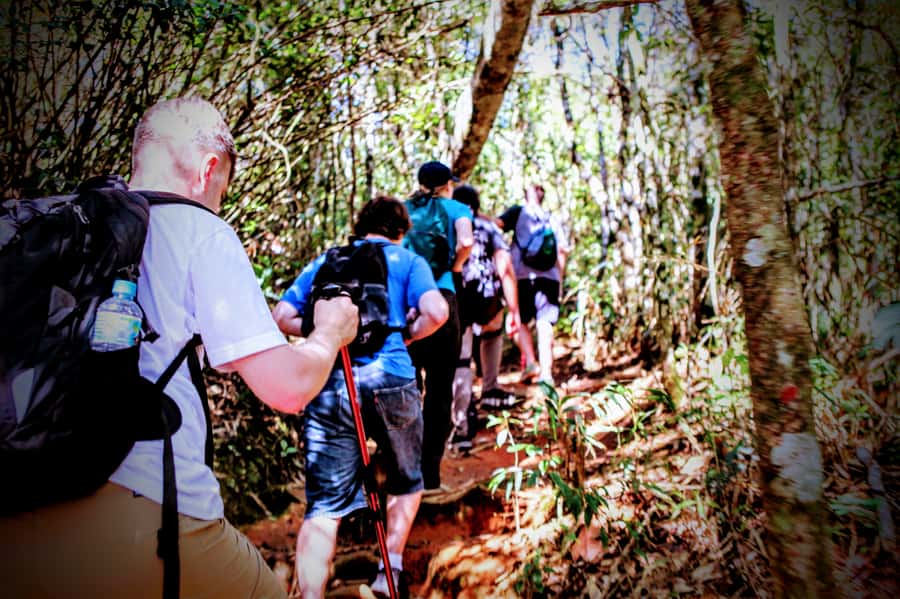 Rio: Tijuca Forest Small Group Hike to Caves and Waterfalls - How hard is 6.2 kilometers?