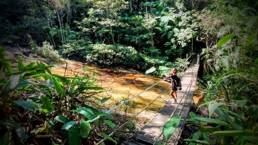 Rio: Tijuca Forest Small Group Hike to Caves and Waterfalls - Why Tijuca Forest is worth your half-day