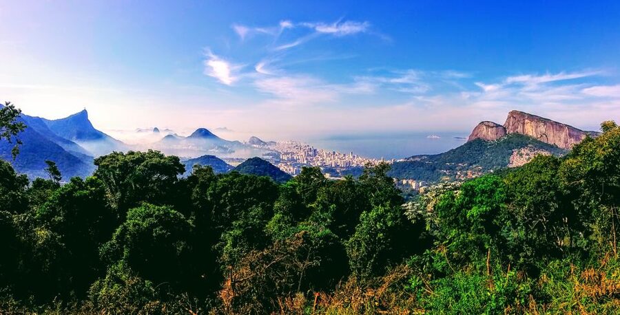 Rio: Tijuca National Park Small-Group Hike to Pedra Bonita - Who should choose this hike?