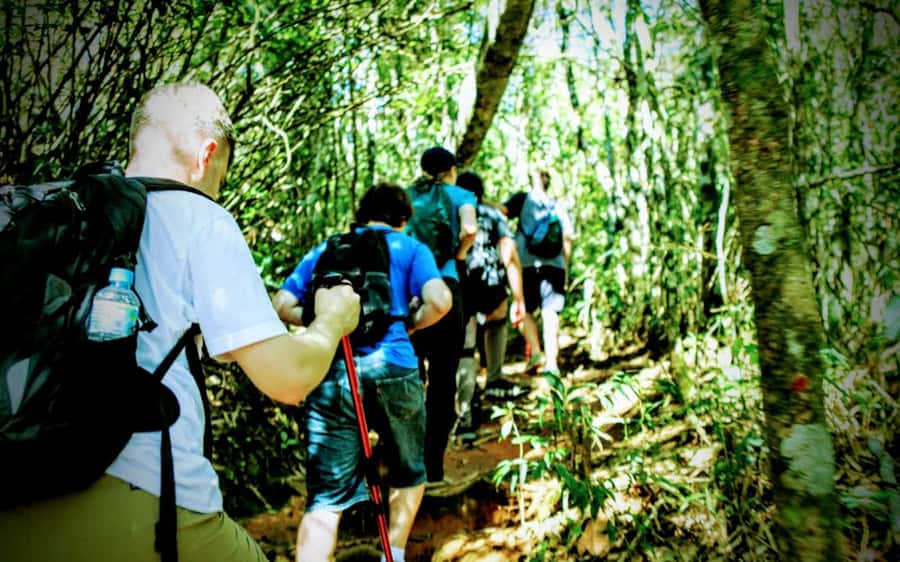 Rio: Tijuca National Park Small-Group Hike to Pedra Bonita - The uphill walk to Pedra Bonita