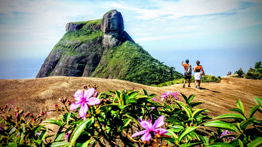 Rio: Tijuca National Park Small-Group Hike to Pedra Bonita - The return through the park and Vista Chinesa