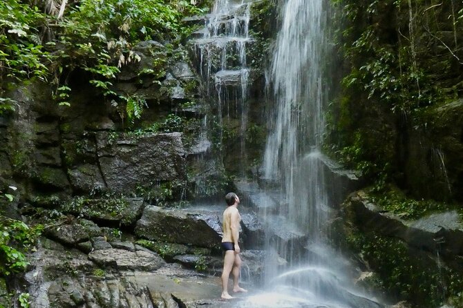 Tijuca Forest Hike - Waterfalls & Caves, Nature & Wild Life! - Cachoeira das Almas and a chance to cool off