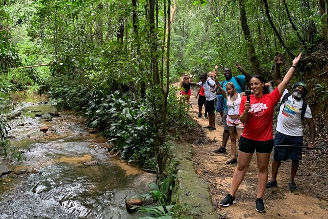 Tijuca Forest Hike - Waterfalls & Caves, Nature & Wild Life! - Capela Mayrink and the park’s historic side