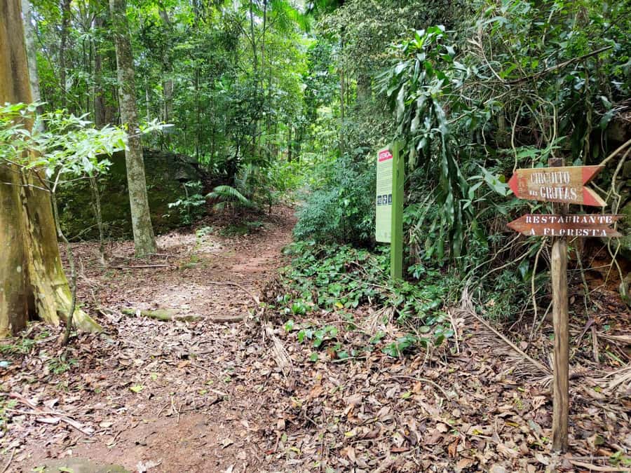 Tijuca Forest´s hike: caves, waterfalls and great views - The historical circuit and old ruins