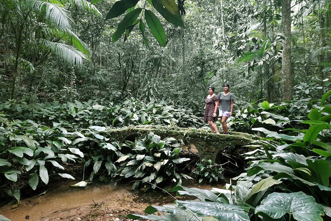 Tijuca National Park and all its wonders! - The historical circuit, from coffee to forest