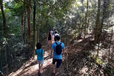 Tijuca National Park and all its wonders!