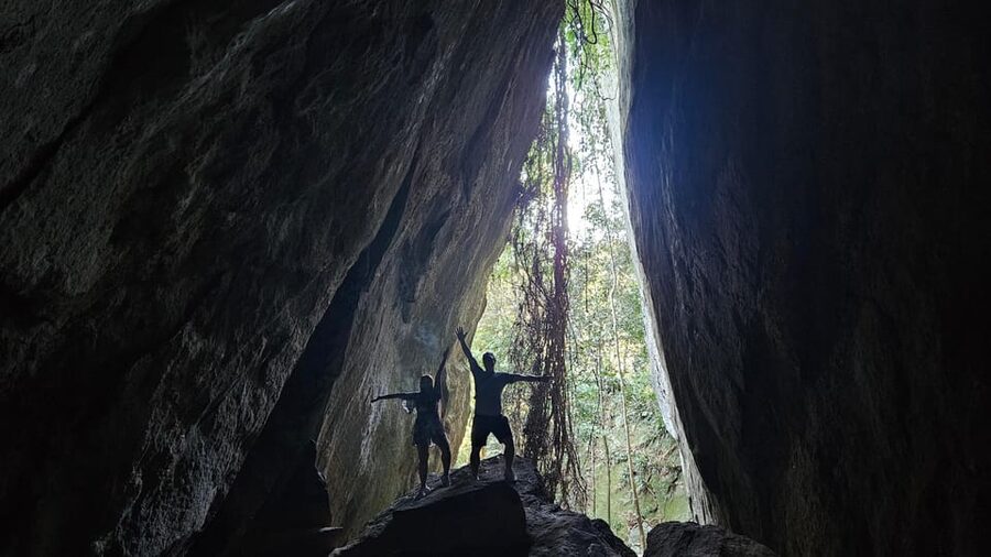 Tijuca National Park and all its wonders! - Wildlife watching in an urban national park