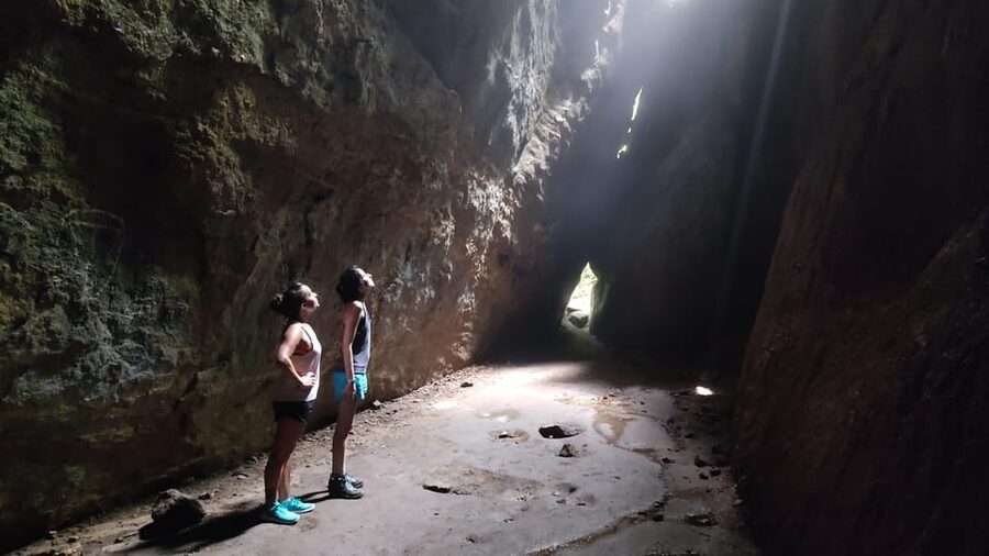 Tijuca National Park and all its wonders! - A private route with room to adjust