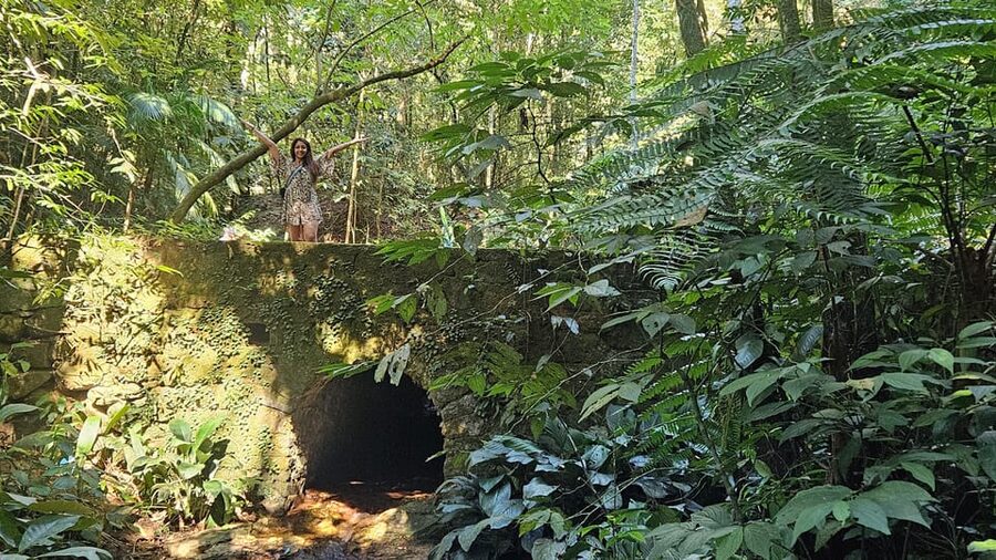 Tijuca National Park and all its wonders! - What the $51 price really covers