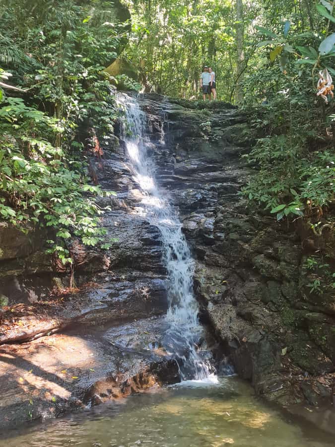 Tijuca Rain Forest - Adventure through Waterfalls & Caves - Taunay Waterfall is the park’s big opening view